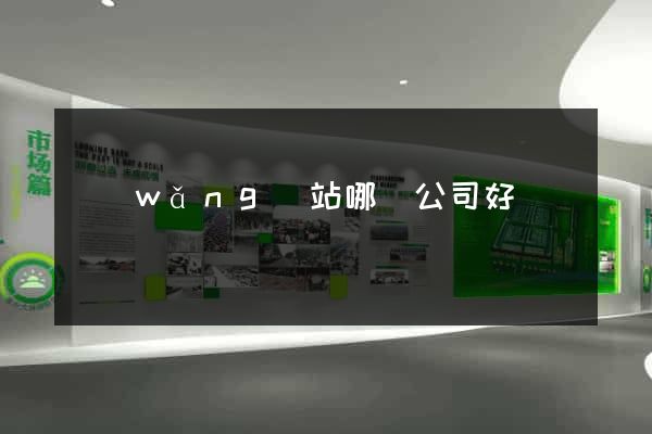 網(wǎng)站哪個公司好