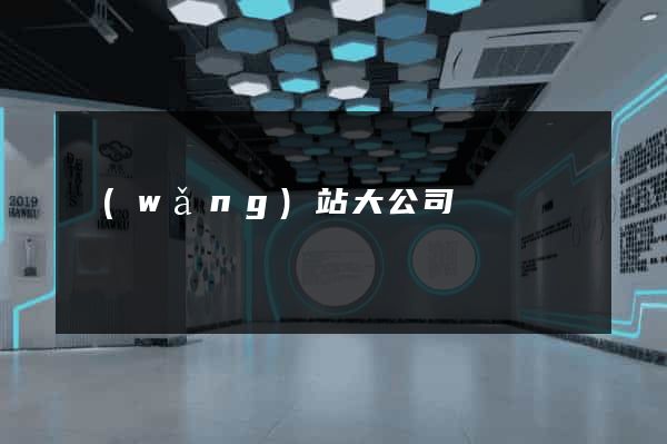 網(wǎng)站大公司