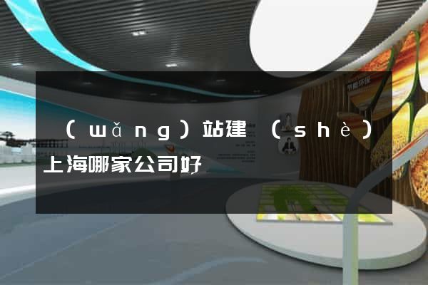 網(wǎng)站建設(shè)上海哪家公司好
