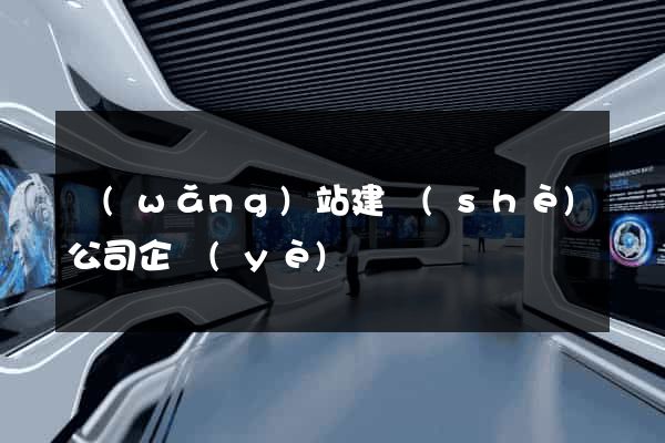 網(wǎng)站建設(shè)公司企業(yè)