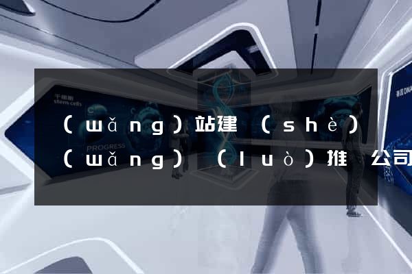 網(wǎng)站建設(shè)網(wǎng)絡(luò)推廣公司