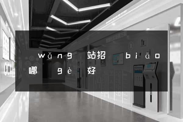 網(wǎng)站招標(biāo)哪個(gè)好