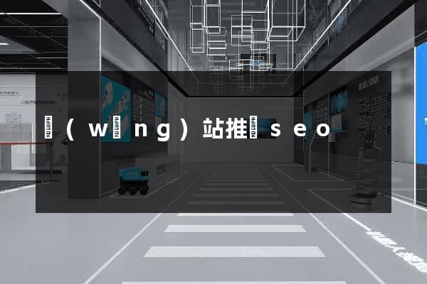網(wǎng)站推廣seo