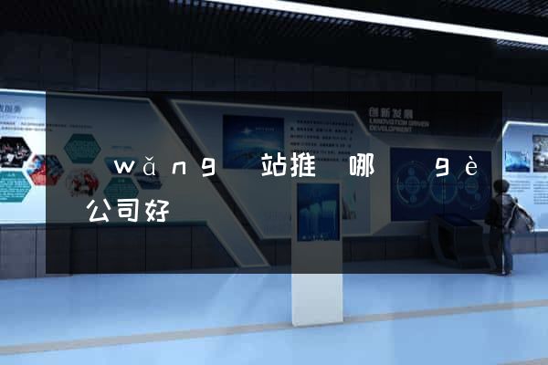 網(wǎng)站推廣哪個(gè)公司好