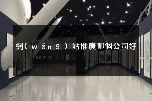 網(wǎng)站推廣哪個公司好