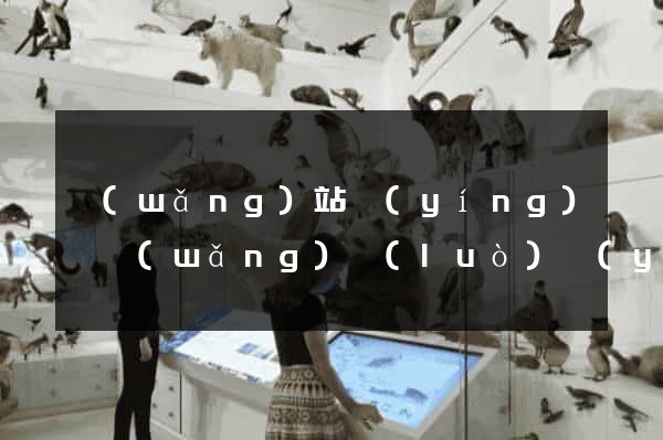 網(wǎng)站營(yíng)銷網(wǎng)絡(luò)營(yíng)銷網(wǎng)站營(yíng)銷