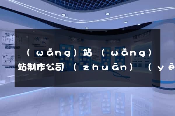 網(wǎng)站網(wǎng)站制作公司專(zhuān)業(yè)