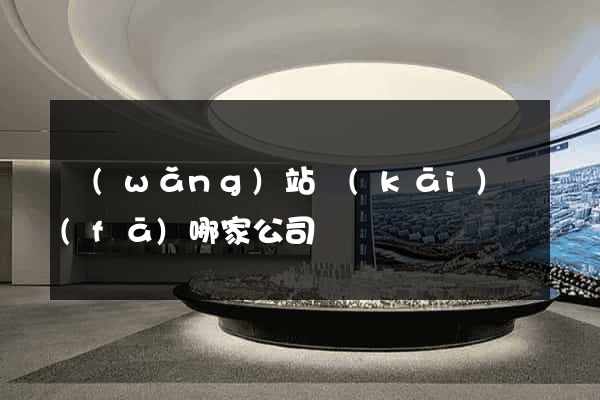 網(wǎng)站開(kāi)發(fā)哪家公司