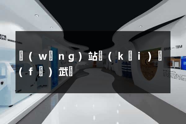網(wǎng)站開(kāi)發(fā)武漢