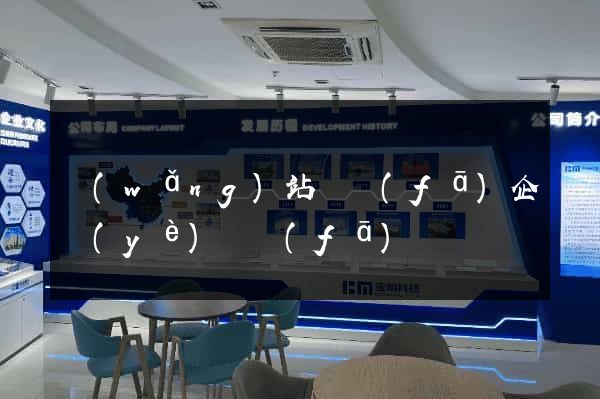 網(wǎng)站開發(fā)企業(yè)開發(fā)