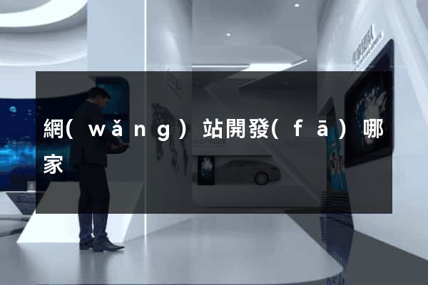 網(wǎng)站開發(fā)哪家