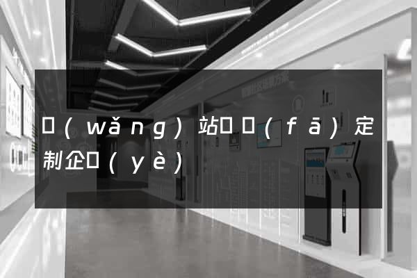 網(wǎng)站開發(fā)定制企業(yè)