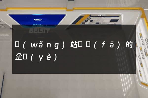 網(wǎng)站開發(fā)的企業(yè)
