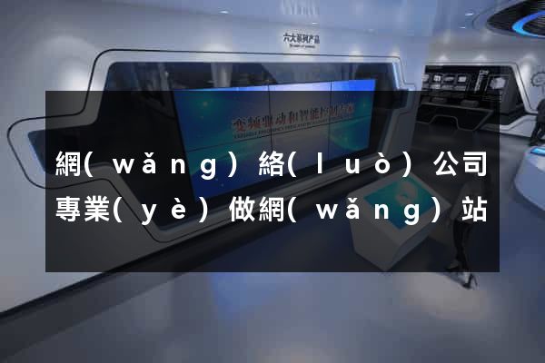 網(wǎng)絡(luò)公司專業(yè)做網(wǎng)站