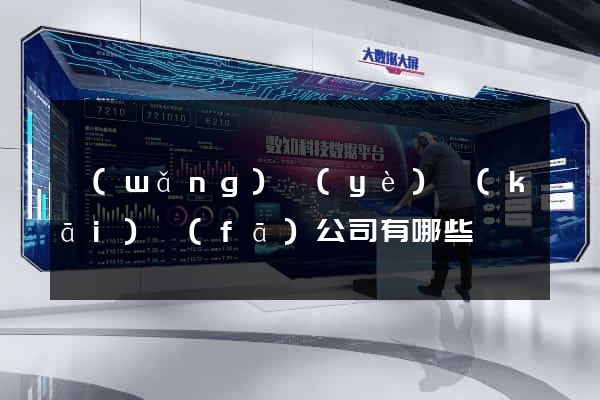 網(wǎng)頁(yè)開(kāi)發(fā)公司有哪些