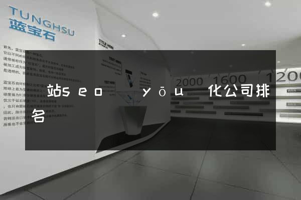 網站seo優(yōu)化公司排名