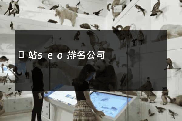 網站seo排名公司