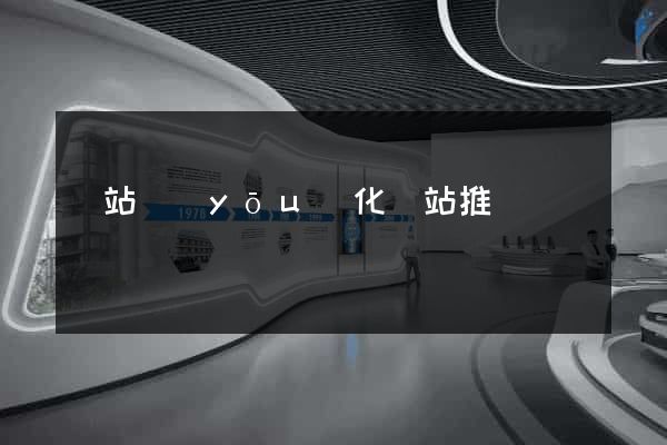 網站優(yōu)化網站推廣