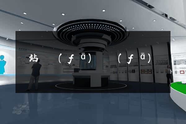 網站開發(fā)開發(fā)
