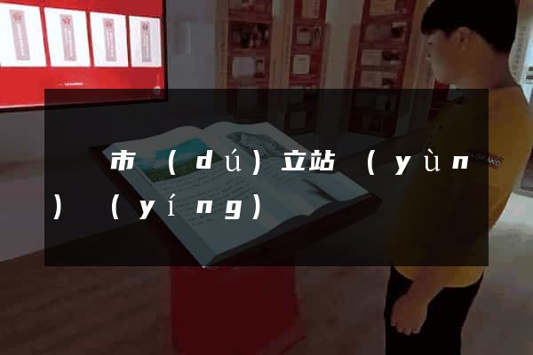 義烏市獨(dú)立站運(yùn)營(yíng)
