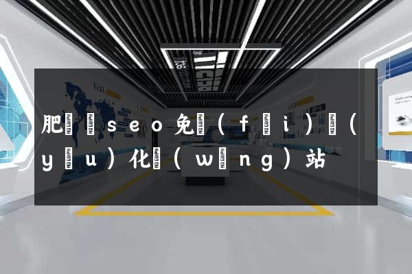 肥東縣seo免費(fèi)優(yōu)化網(wǎng)站
