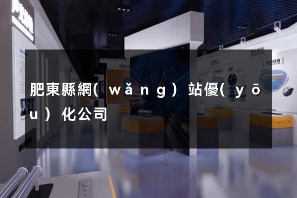 肥東縣網(wǎng)站優(yōu)化公司