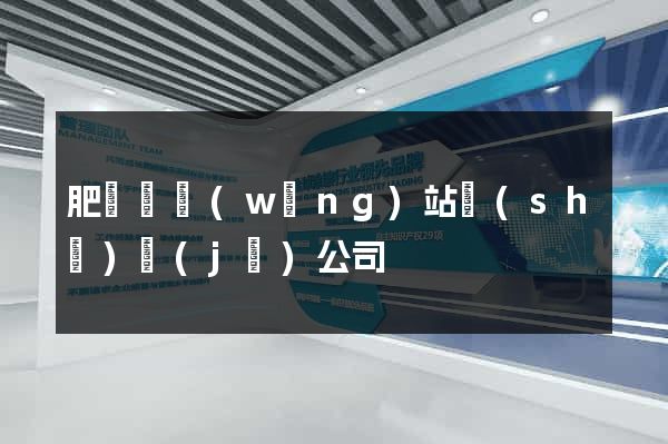 肥東縣網(wǎng)站設(shè)計(jì)公司