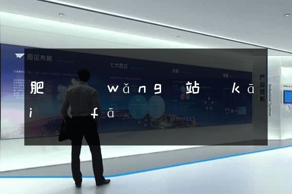 肥東縣網(wǎng)站開(kāi)發(fā)