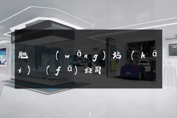 肥東縣網(wǎng)站開(kāi)發(fā)公司