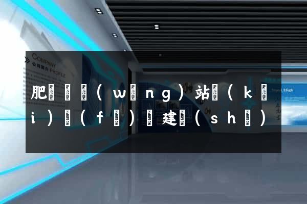 肥東縣網(wǎng)站開(kāi)發(fā)與建設(shè)