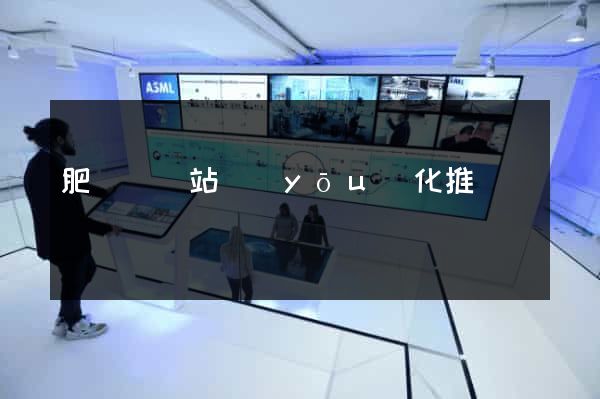 肥東縣網站優(yōu)化推廣