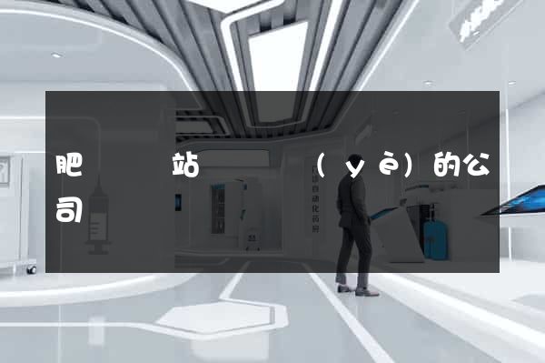 肥東縣網站設計專業(yè)的公司
