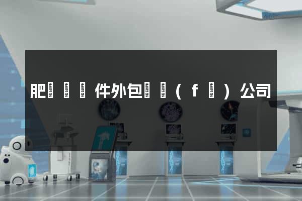 肥東縣軟件外包開發(fā)公司