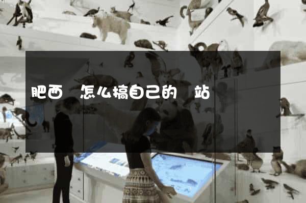 肥西縣怎么搞自己的網站