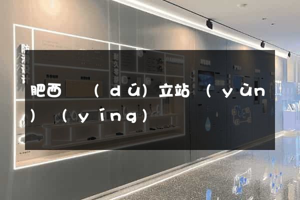 肥西縣獨(dú)立站運(yùn)營(yíng)