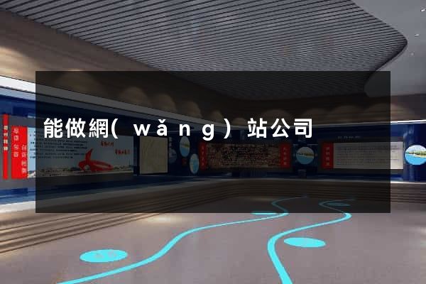 能做網(wǎng)站公司