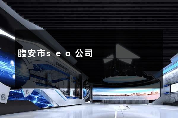 臨安市seo公司