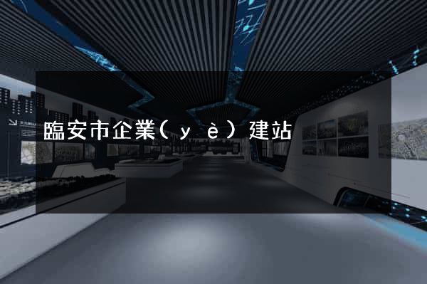 臨安市企業(yè)建站