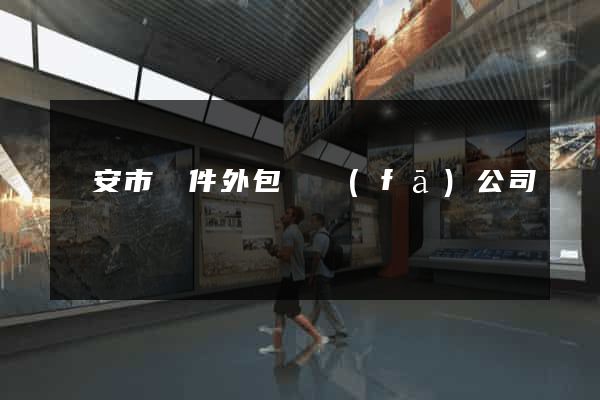 臨安市軟件外包開發(fā)公司