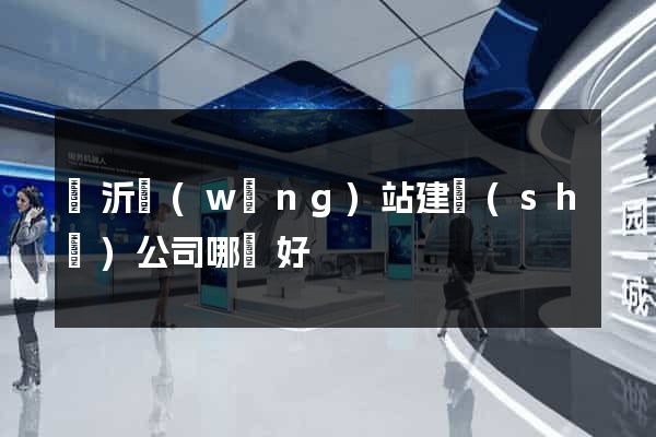 臨沂網(wǎng)站建設(shè)公司哪個好