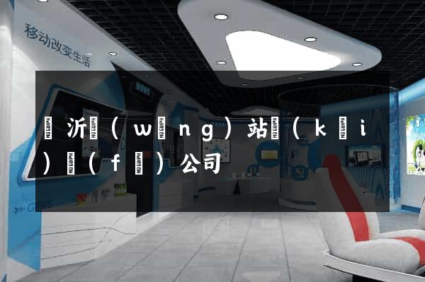 臨沂網(wǎng)站開(kāi)發(fā)公司