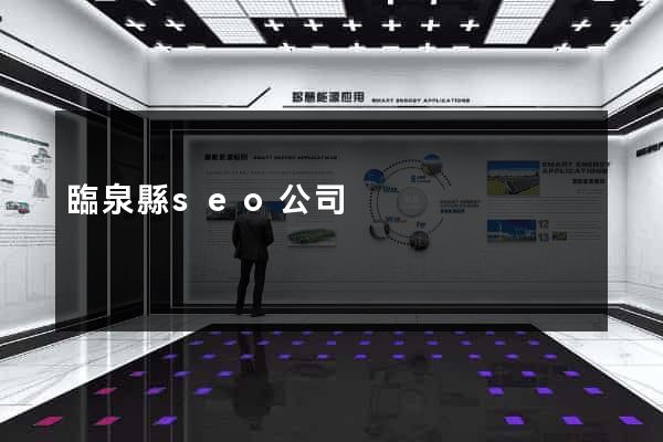 臨泉縣seo公司