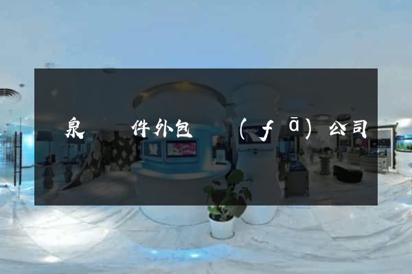 臨泉縣軟件外包開發(fā)公司