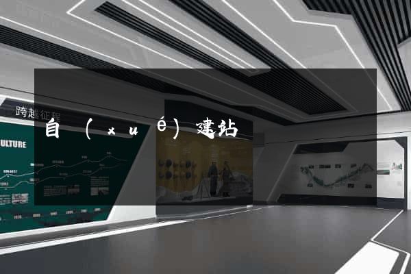 自學(xué)建站