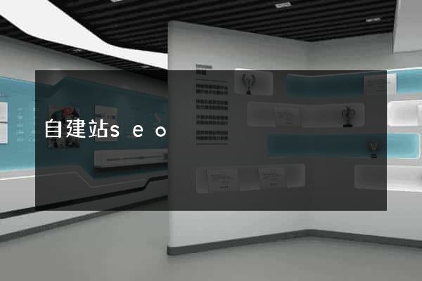 自建站seo
