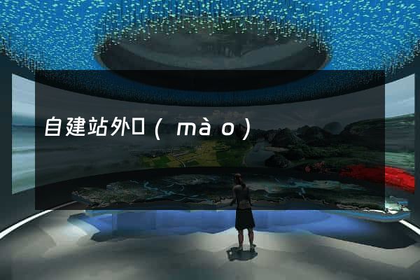 自建站外貿(mào)