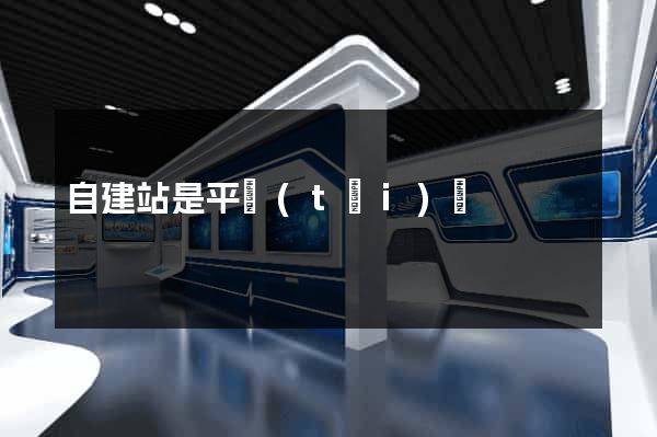 自建站是平臺(tái)嗎