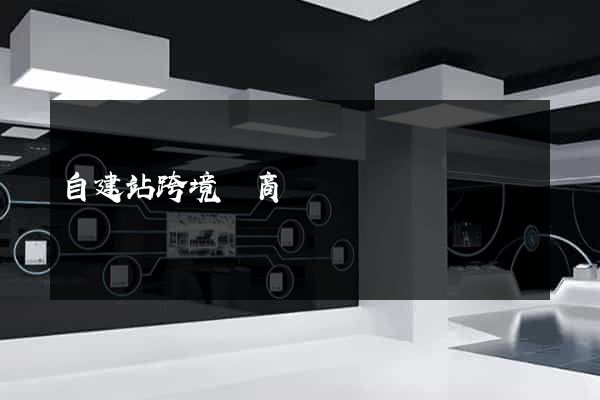 自建站跨境電商