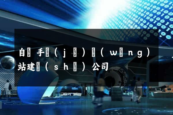 自貢手機(jī)網(wǎng)站建設(shè)公司