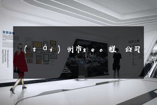 臺(tái)州市seo推廣公司